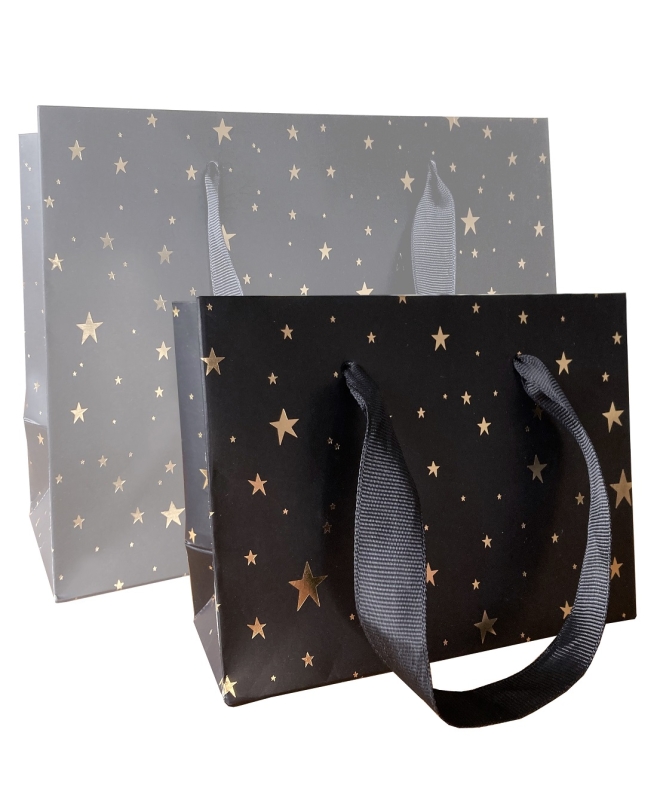 Cadeautasjes 2 stuks zwart met goude ster - S