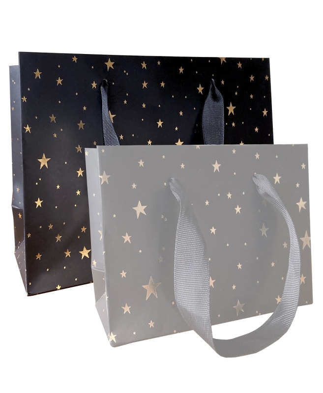 Cadeautasjes 2 stuks zwart met goude ster - M